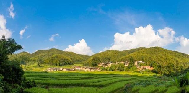 农村独栋别墅 农村独栋别墅