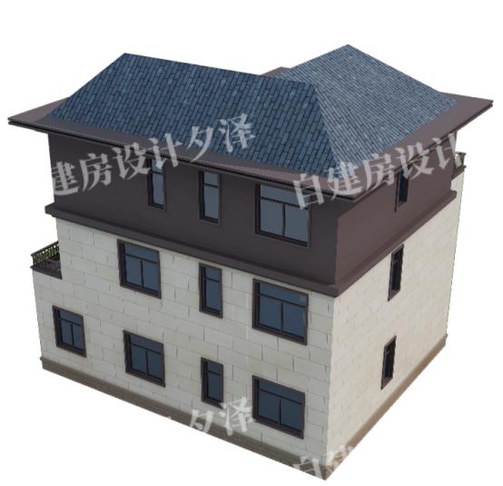 农村的自建别墅 农村的自建别墅