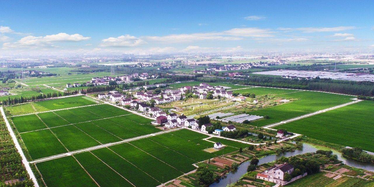 到底什么是乡村振兴?乡村振兴该如何去做?.jpeg 到底什么是乡村振兴?乡村振兴该如何去做?.jpeg