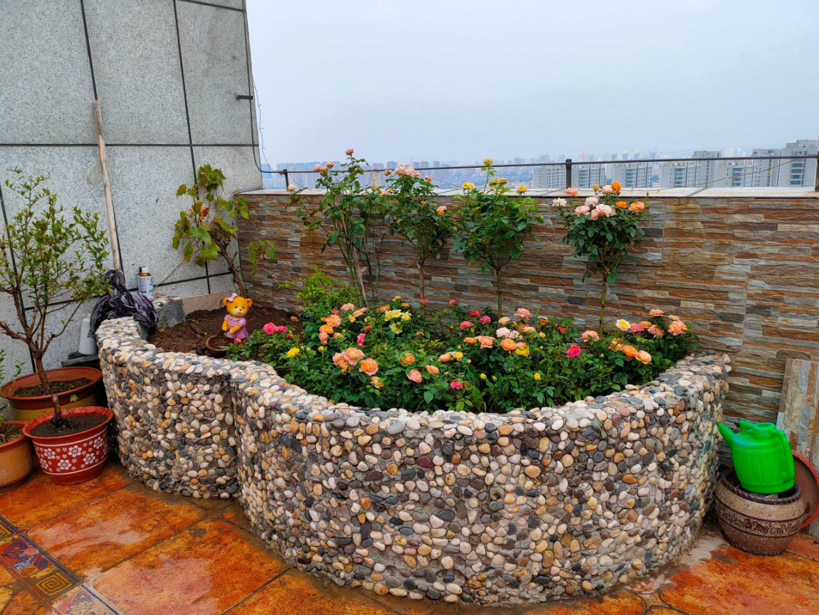 为什么都说屋顶花园好 (1).png 为什么都说屋顶花园好 (1).png