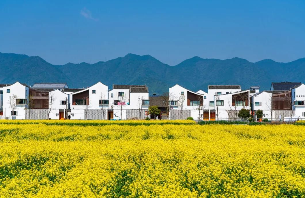 农村土地纠纷找哪个部门解决.png 农村土地纠纷找哪个部门解决.png