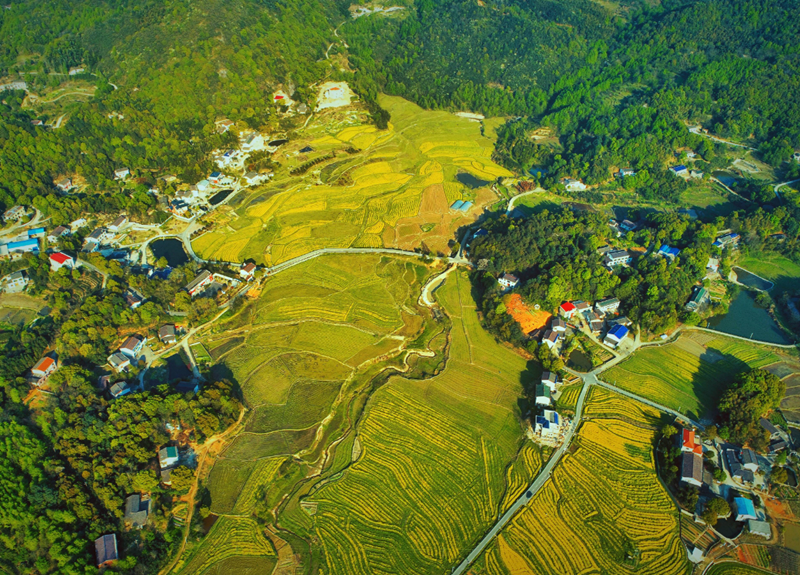 农村自建房子风水不好怎么办.png 农村自建房子风水不好怎么办.png